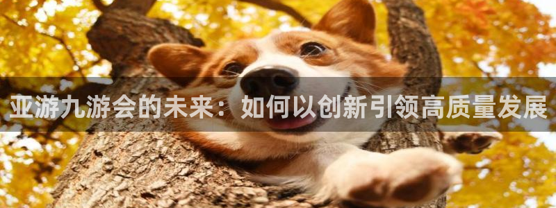 幸运彩平台网址