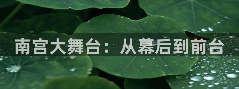 幸运彩app官网入口