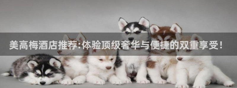 幸运彩welcome官网入口app