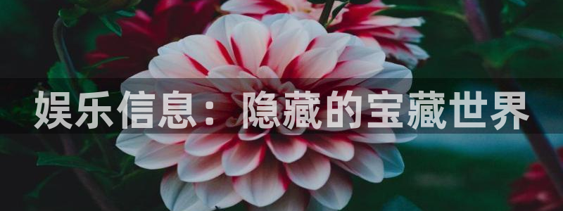 幸运彩网