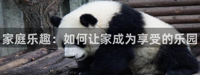 幸运彩网址