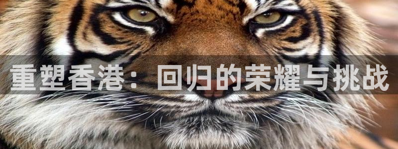 welcome-幸运彩