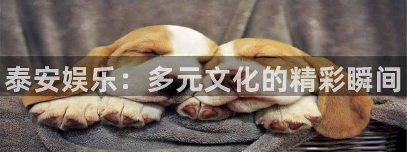 9815幸运彩