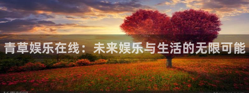 9815幸运彩