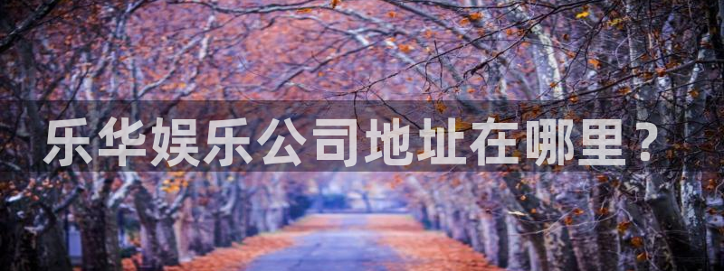 幸运彩官方网站入口