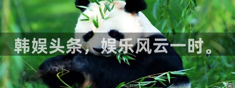 幸运彩app下载：韩娱头条，娱乐风云一时。