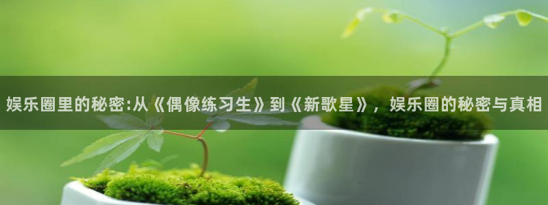 幸运彩官网：娱乐圈里的秘密:从《偶像练习生》到《新歌星》，娱乐圈的秘密与真相