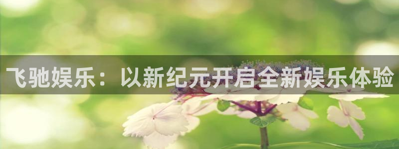 幸运彩平台网址：飞驰娱乐：以新纪元开启全新娱乐体验