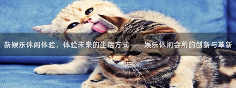 幸运彩平台：新娱乐休闲体验，体验未来的生活方式——娱乐休闲会所的创新与革新
