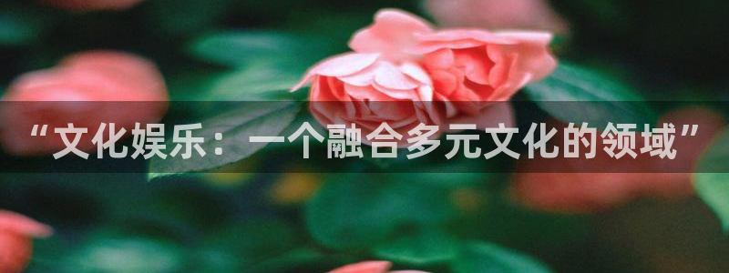 幸运彩网址：“文化娱乐：一个融合多元文化的领域”